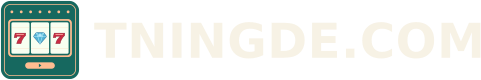 TNINGDE.COM
