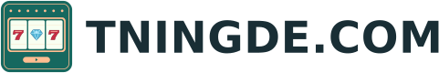 TNINGDE.COM